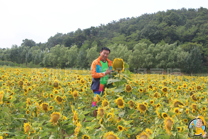 哈仙岛最全旅游攻略