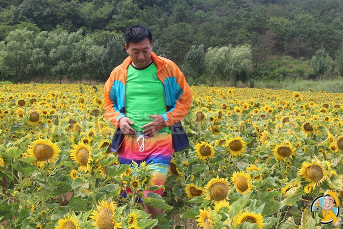 哈仙岛最全旅游攻略