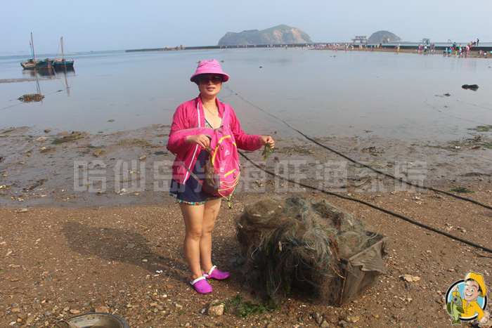 哈仙岛旅游攻略 哈仙岛旅游攻略