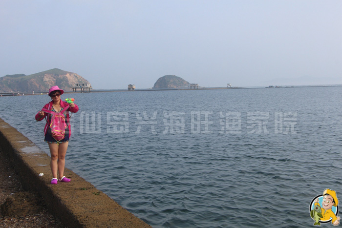 大连哈仙岛旅游攻略 大连哈仙岛旅游攻略