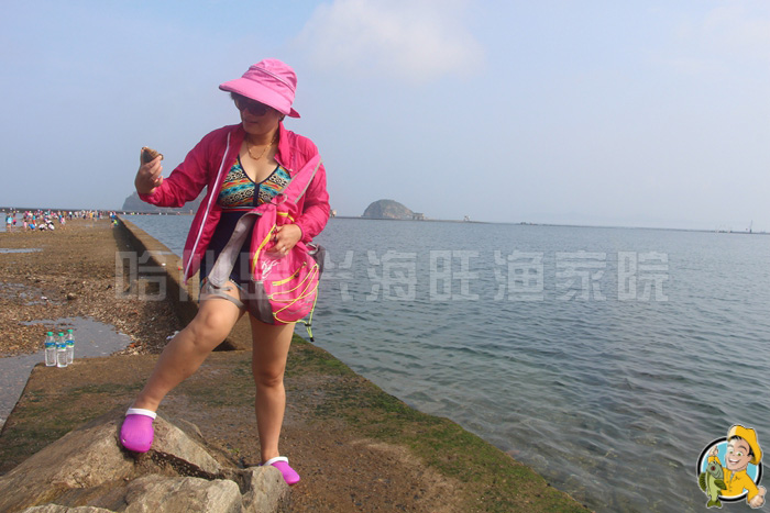 大连哈仙岛旅游攻略 大连哈仙岛旅游攻略