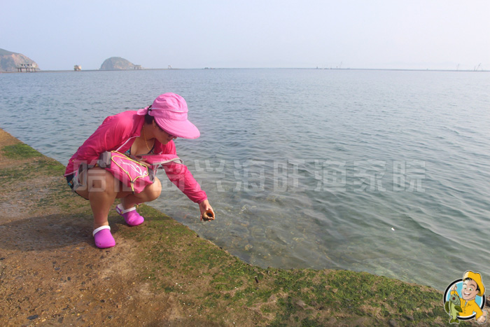大连哈仙岛旅游大全 大连哈仙岛旅游大全