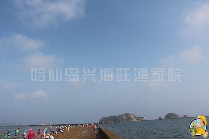 大连哈仙岛攻略大全 大连哈仙岛攻略大全