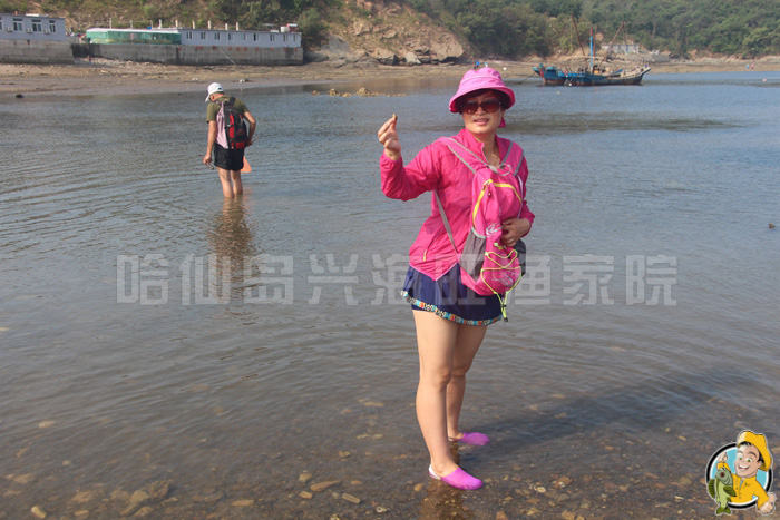 大连哈仙岛旅游攻略 大连哈仙岛旅游攻略