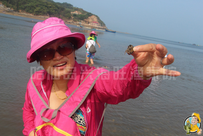大连哈仙岛旅游攻略 大连哈仙岛旅游攻略