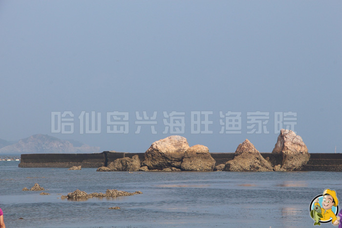 哈仙岛旅游攻略