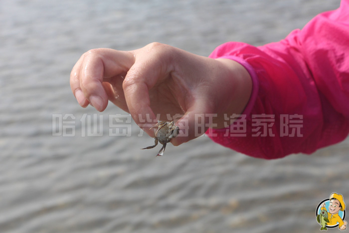 哈仙岛攻略旅游 哈仙岛攻略旅游