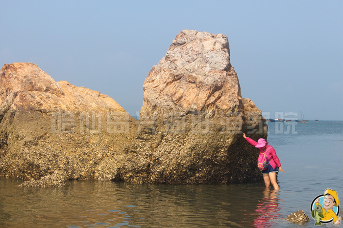 大连哈仙岛旅游攻略