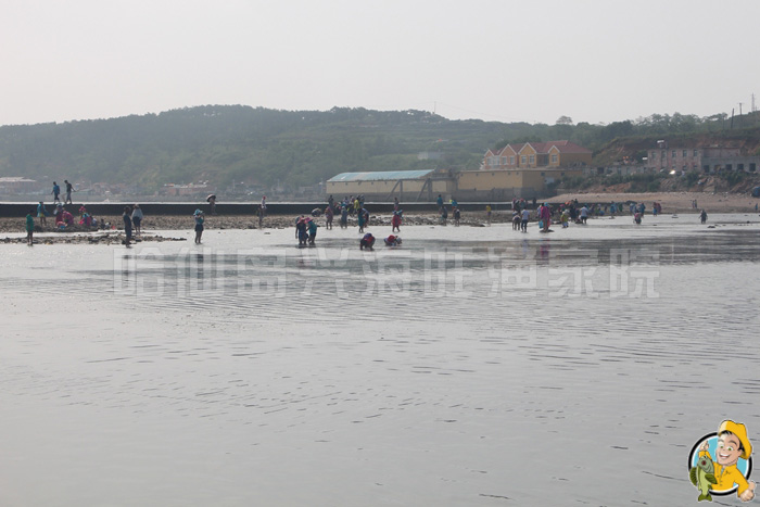 哈仙岛旅游攻略 哈仙岛旅游攻略