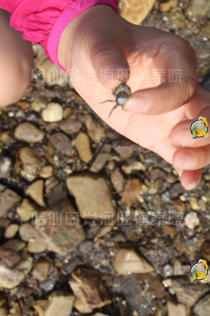 哈仙岛最新旅游攻略 哈仙岛最新旅游攻略