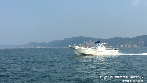 哈仙岛哪里能钓鱼 哈仙岛哪里能钓鱼